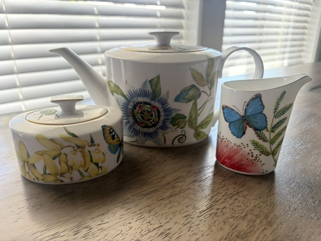 Villeroy & Boch Amazonia Porcelain Set