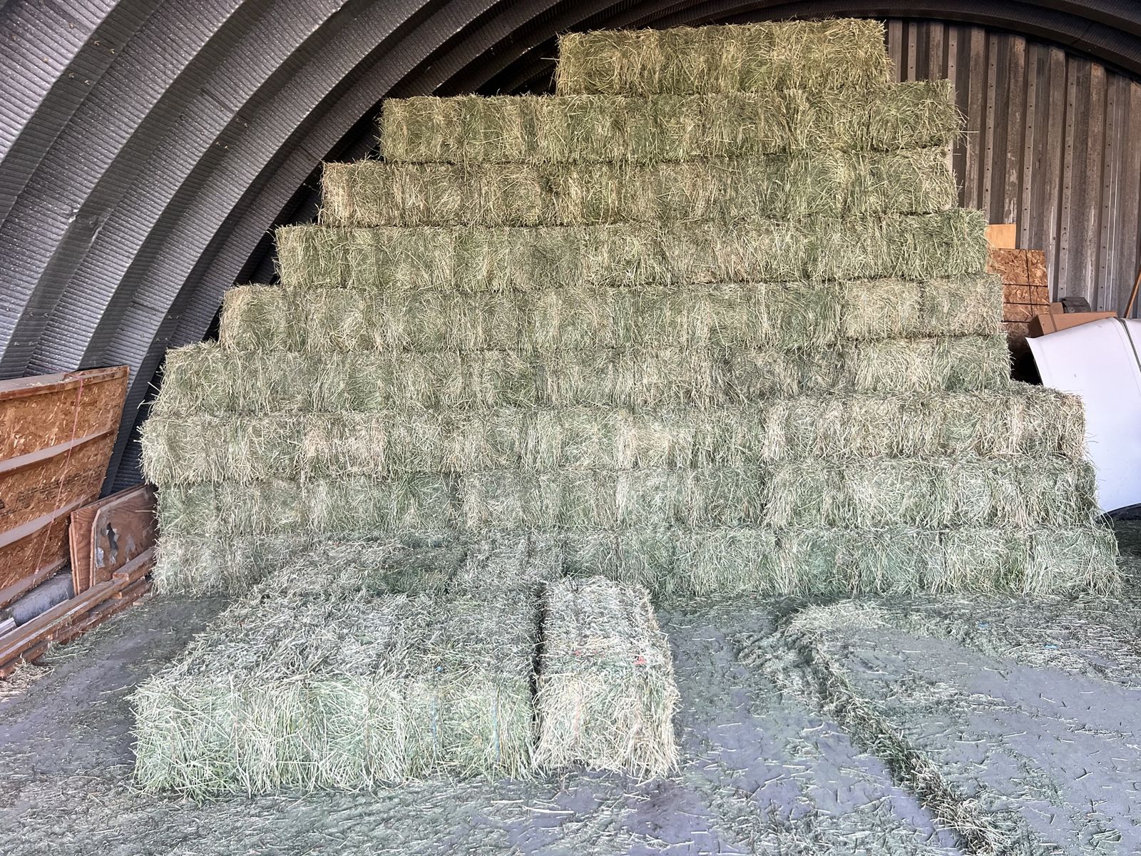 Alfalfa hay for sale