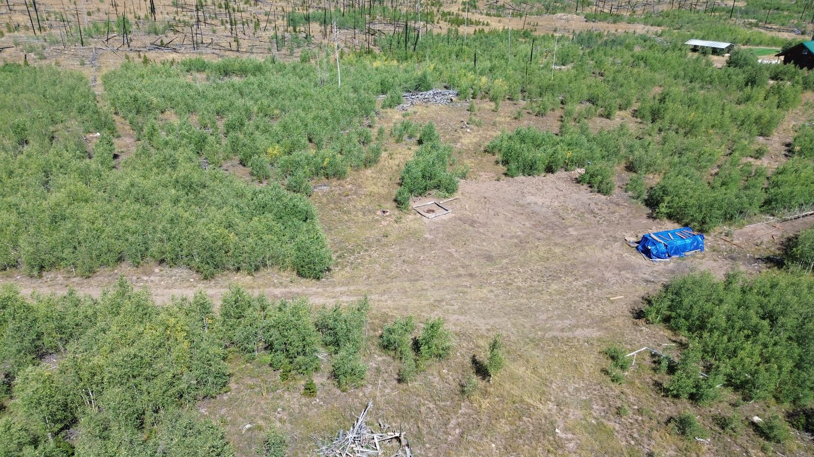 Main image 2