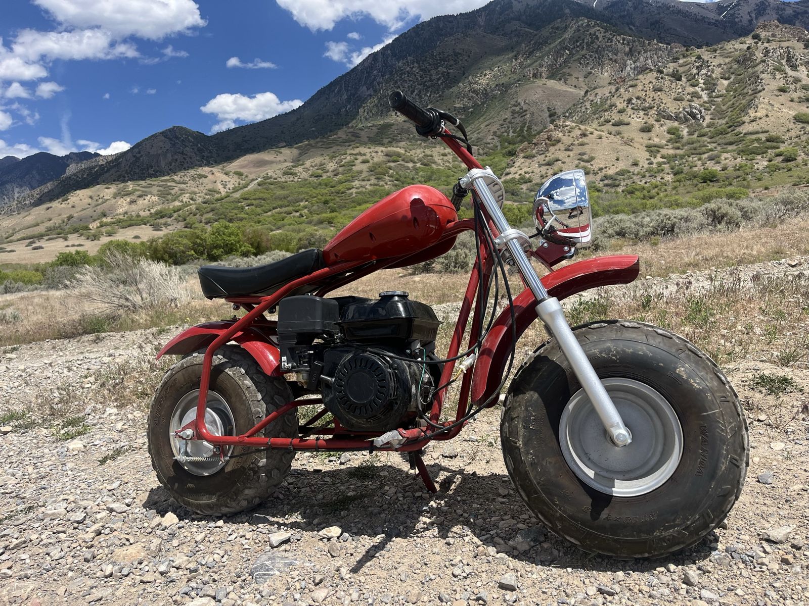 Coleman Mini Bike