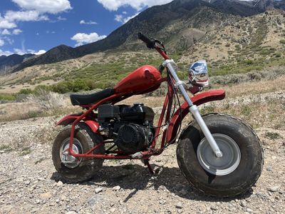 Coleman Mini Bike