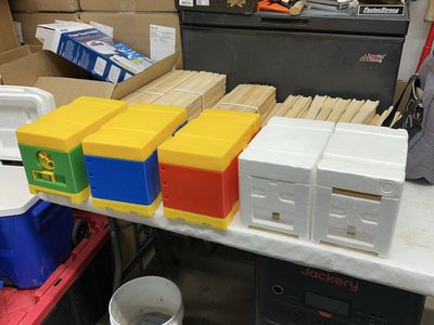 Beehive Nucs - Assorted Colors with Frames - Complete Ready-to-Use Set