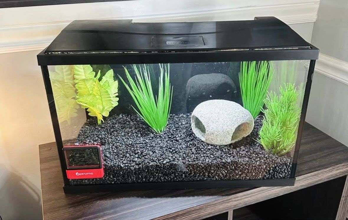 Fish Tank + Supplies