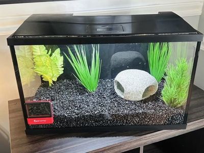 Fish Tank + Supplies