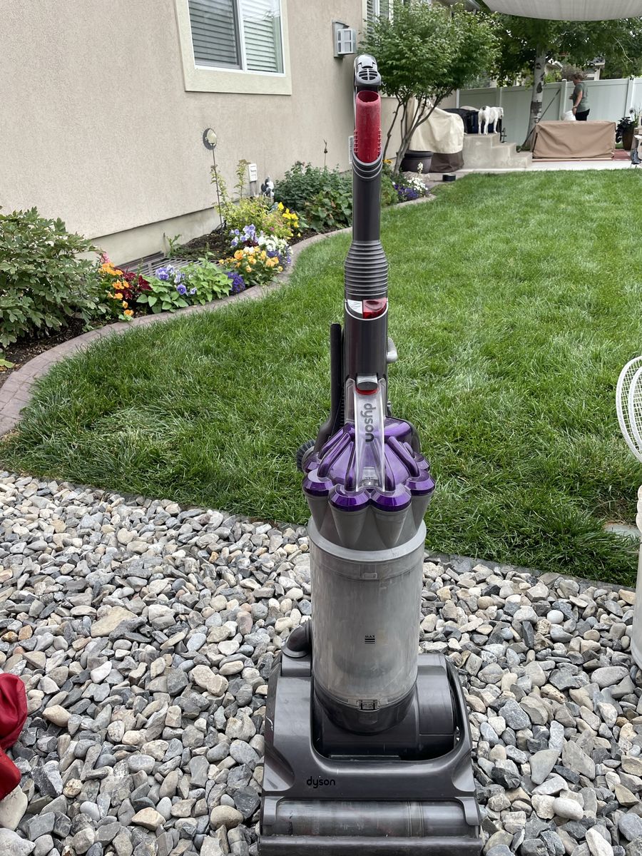 Dyson animal All Floors Upright Vacuum Cleaner - Purple/Gray, Corded Electric, Bagless