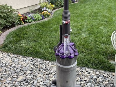 Dyson animal All Floors Upright Vacuum Cleaner - Purple/Gray, Corded Electric, Bagless