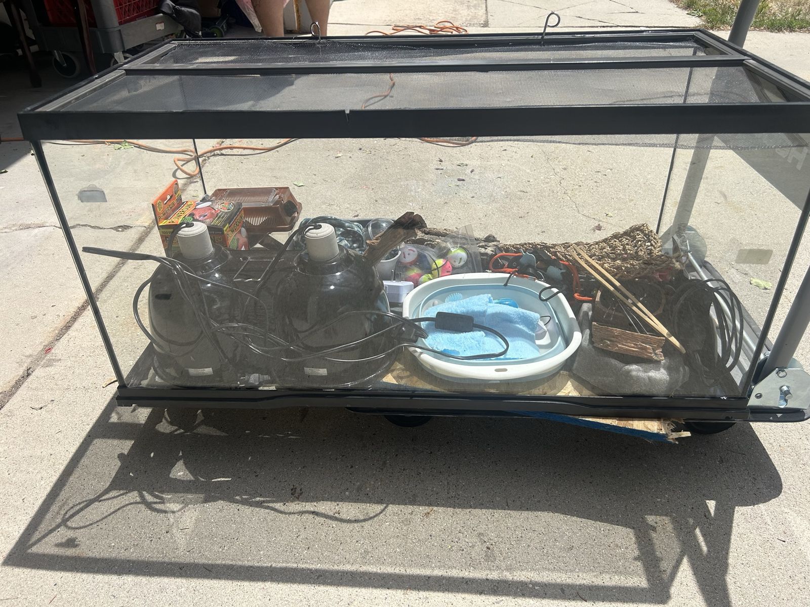 Main image 11