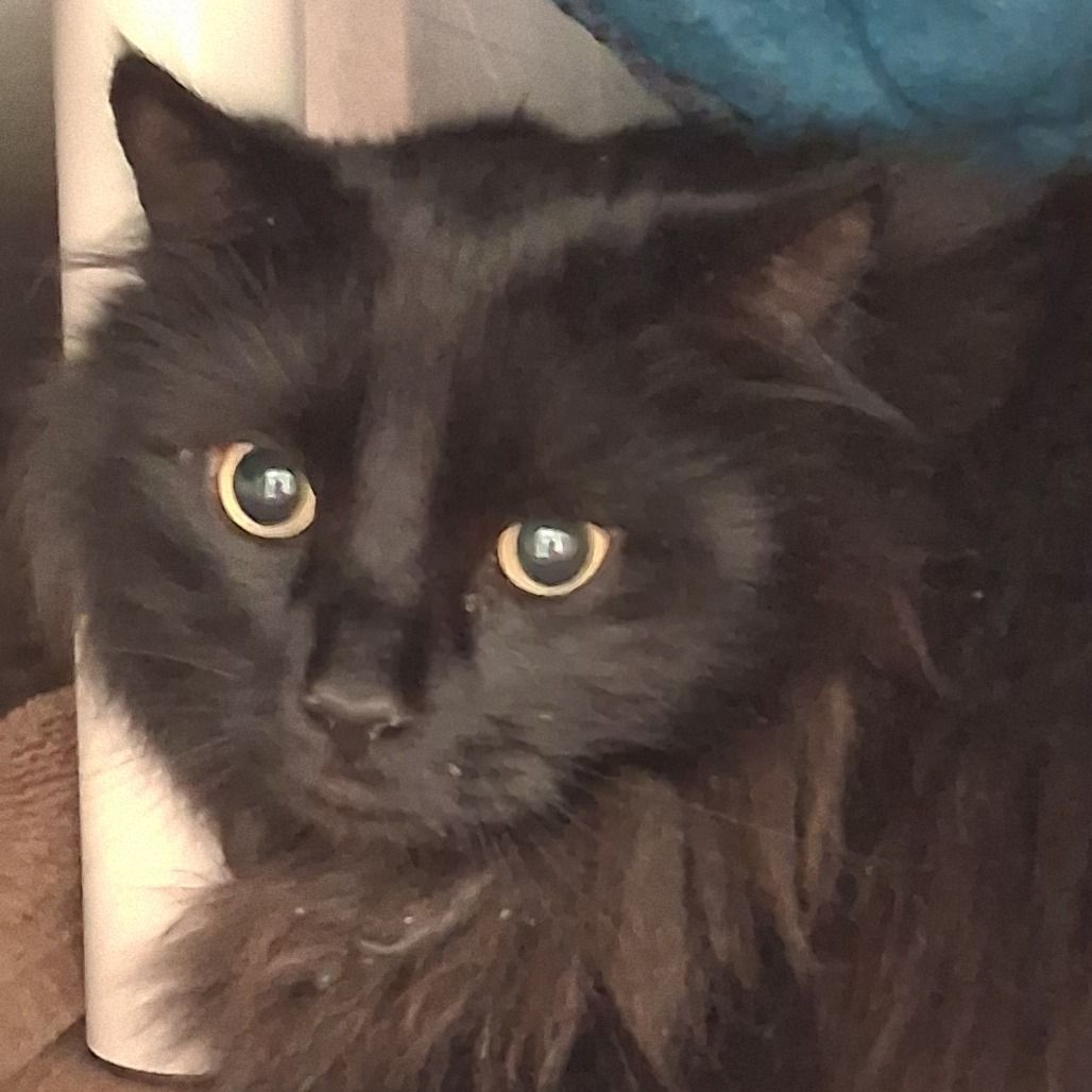 Hello my name is Jagger