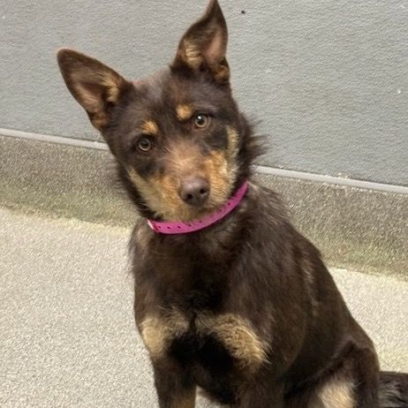 Hello my name is Karen