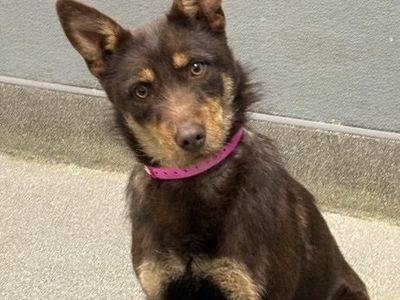 Hello my name is Karen