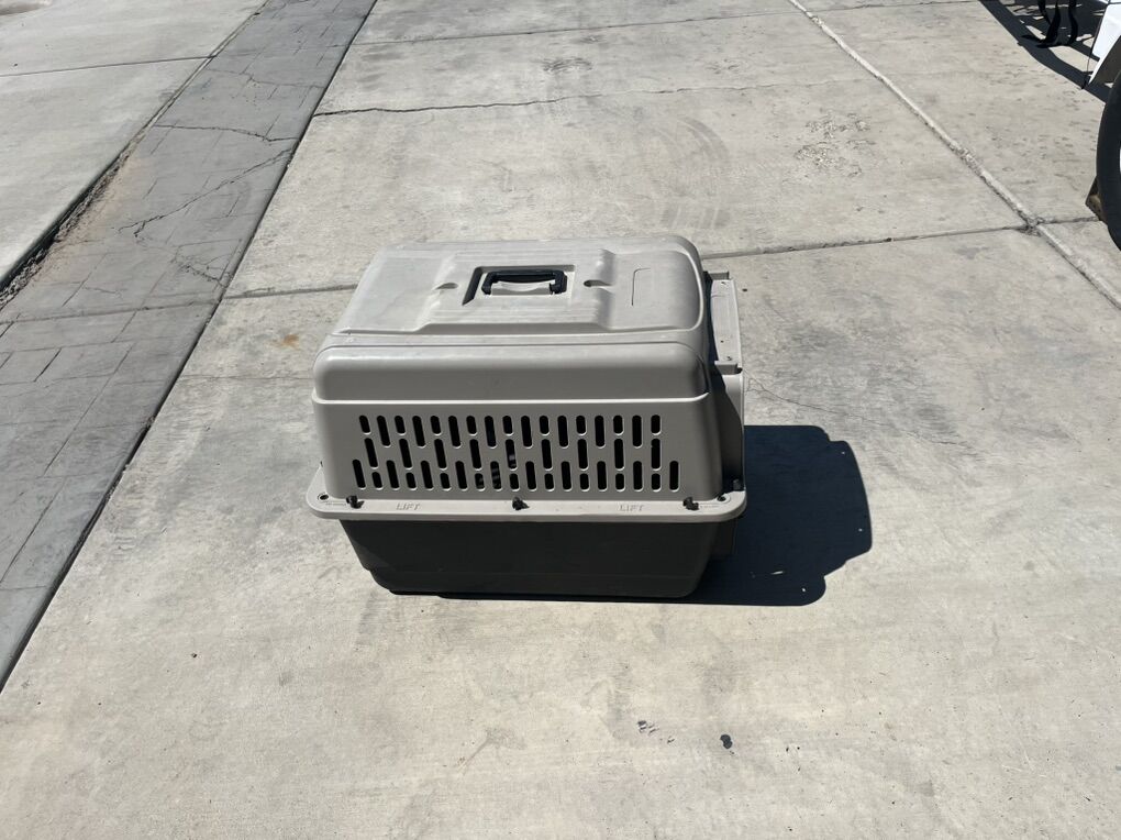 Dog Kennel