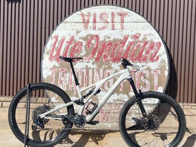 2023 Specialized Stumpjumper Evo Expert S4 (Large)