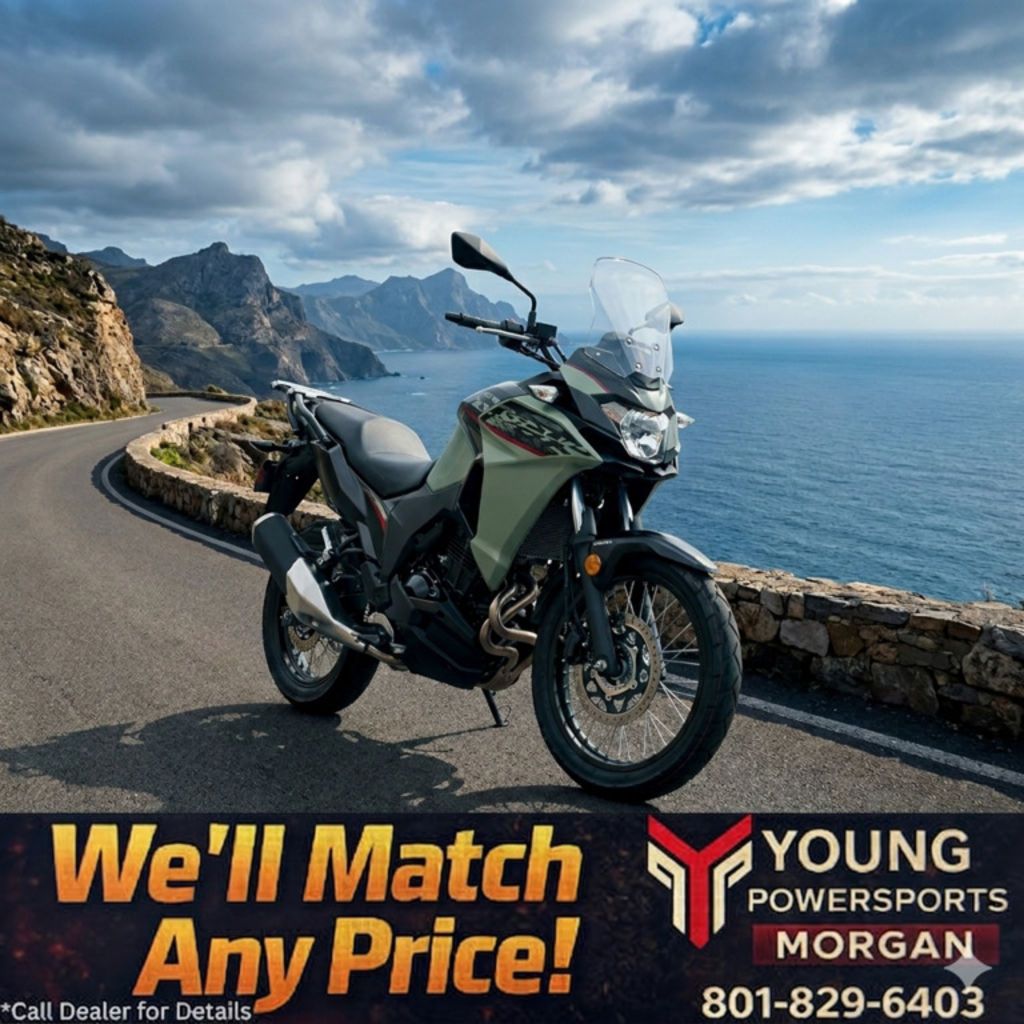 2024 Kawasaki Versys®-X 300 ABS