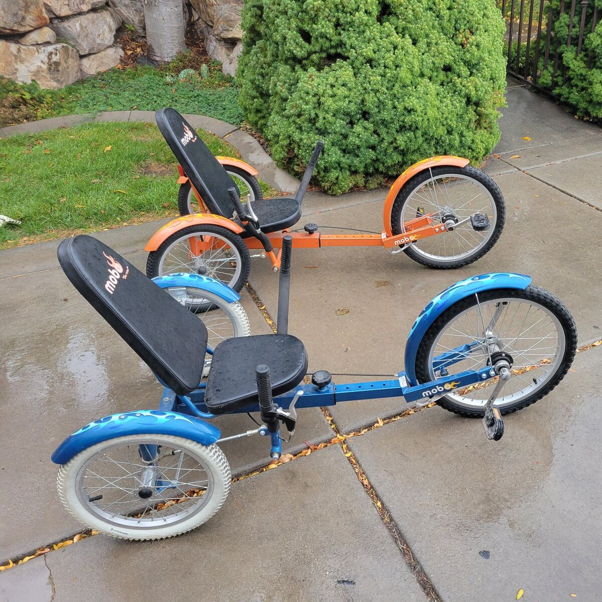 adult trike, recumbent bike