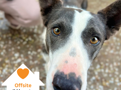 Hello my name is Jade