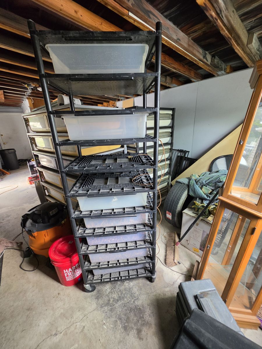 Snake rack