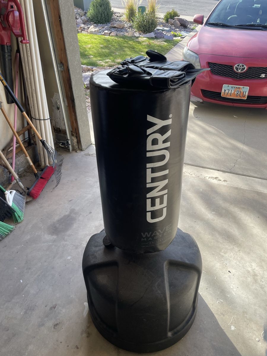 Standing Punching Bag and Gloves