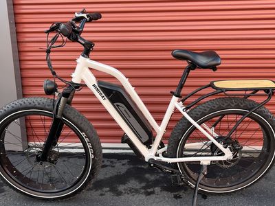 Electric bike