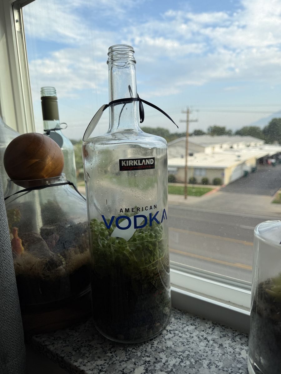 Kirkland American Vodka Bottle Terrarium - Unique Upcycled Decor