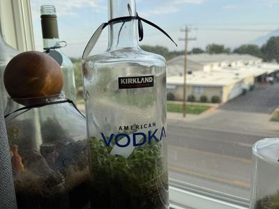 Kirkland American Vodka Bottle Terrarium - Unique Upcycled Decor