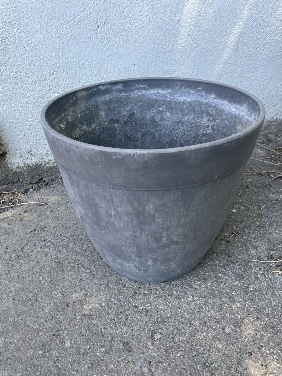 Main image 3