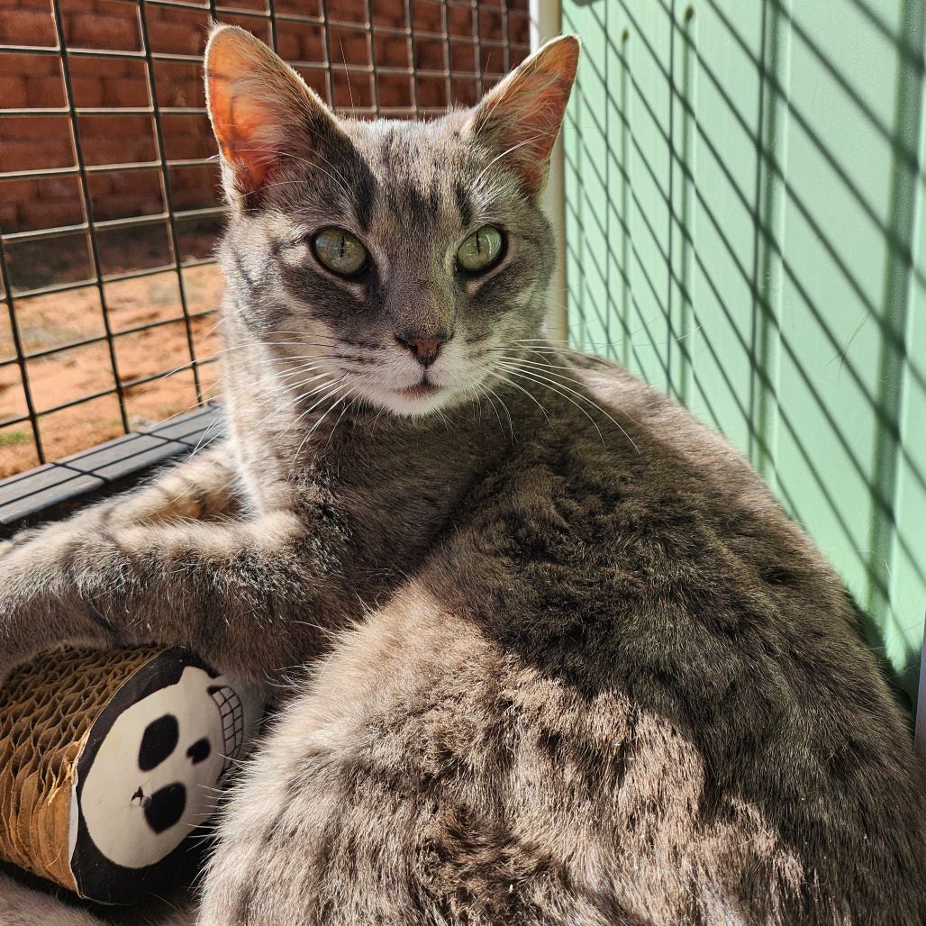 Hello my name is Durant