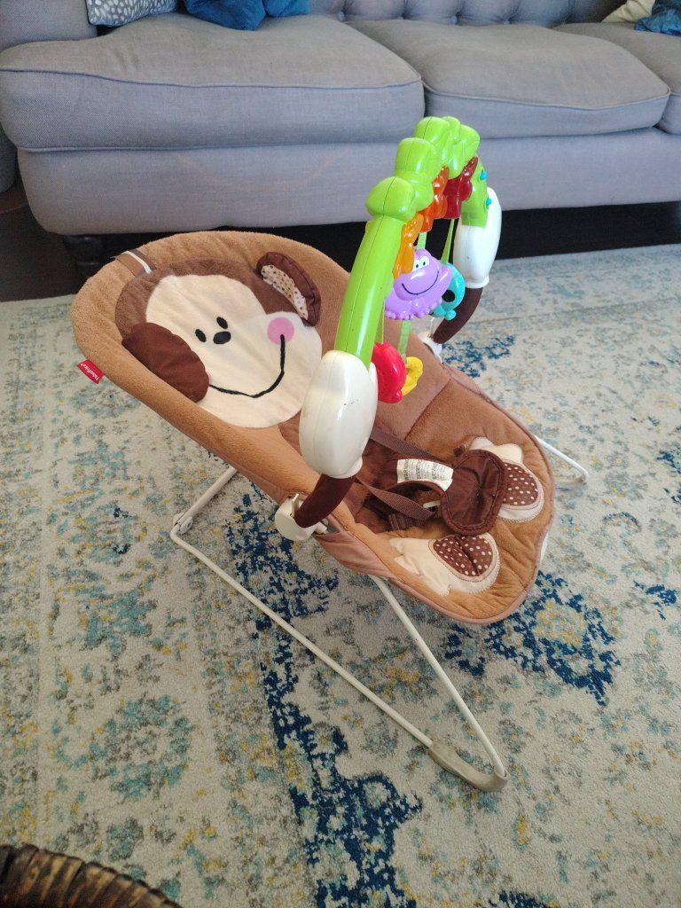 Baby Bouncer