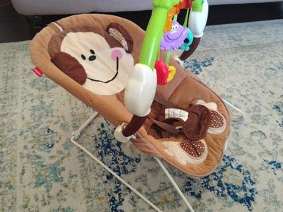 Baby Bouncer