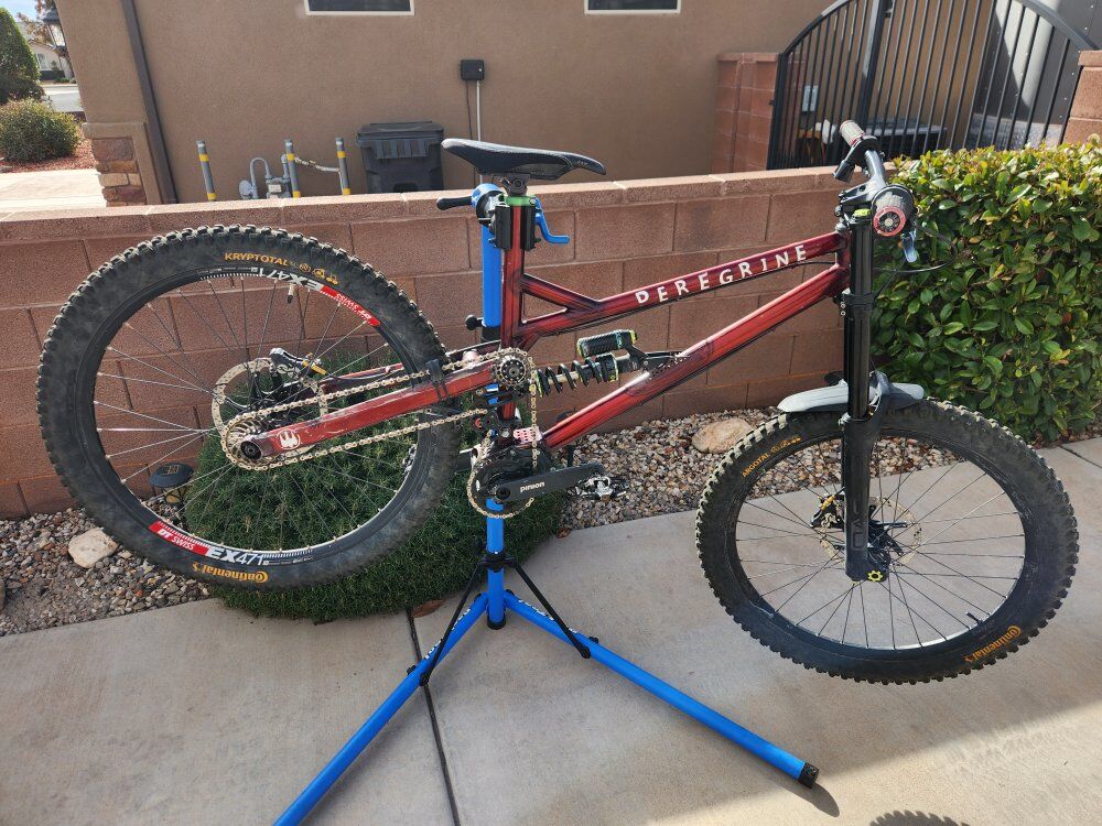 2019 Peregrine Downhill Bike