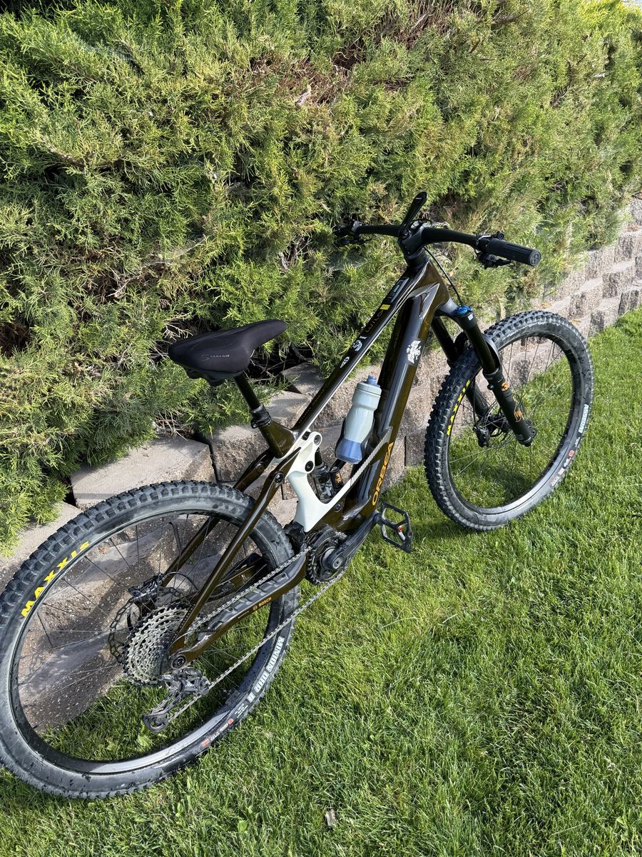 Orbea Wild M10