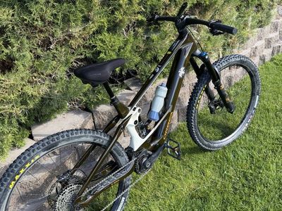 Orbea Wild M10