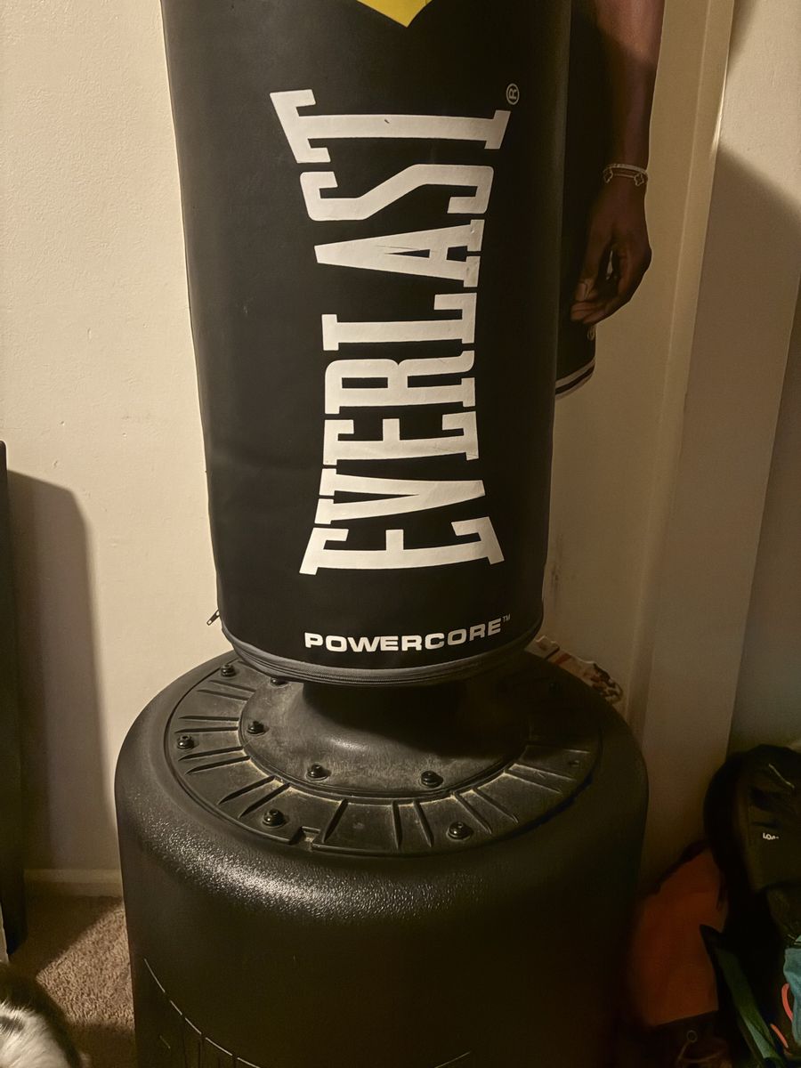 Everlast Punching Bag