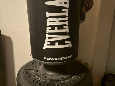 Everlast Punching Bag