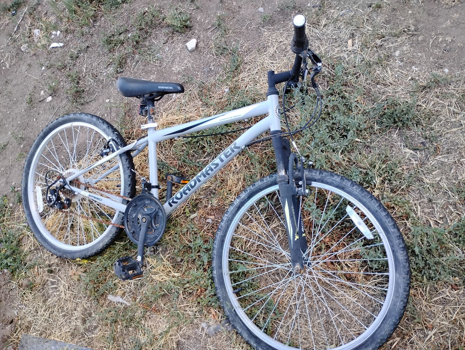 Roadmaster Bike