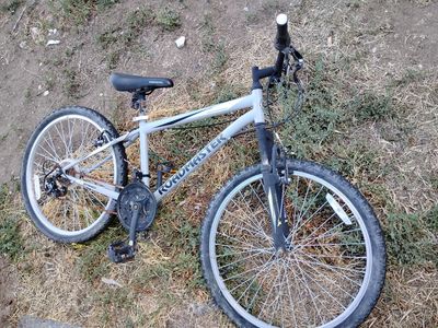 Roadmaster Bike