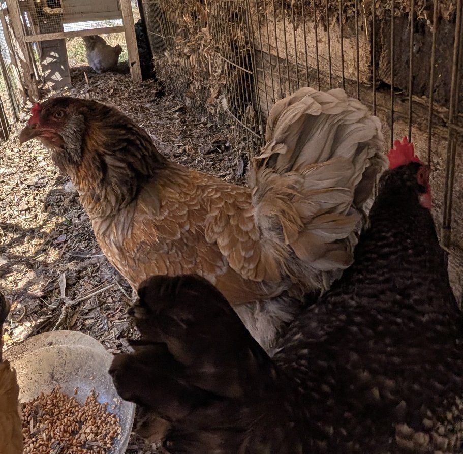 Main image 32