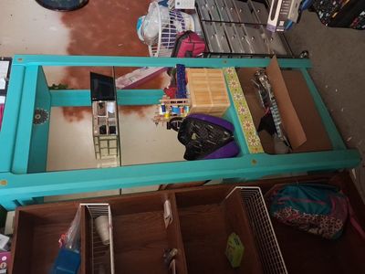 shelves and house items