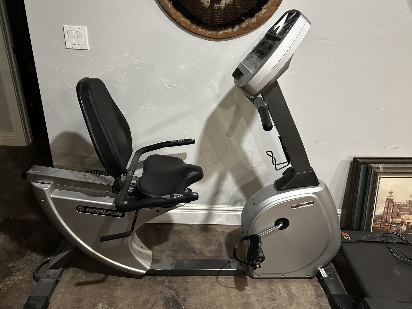 Horizon recumbent bike