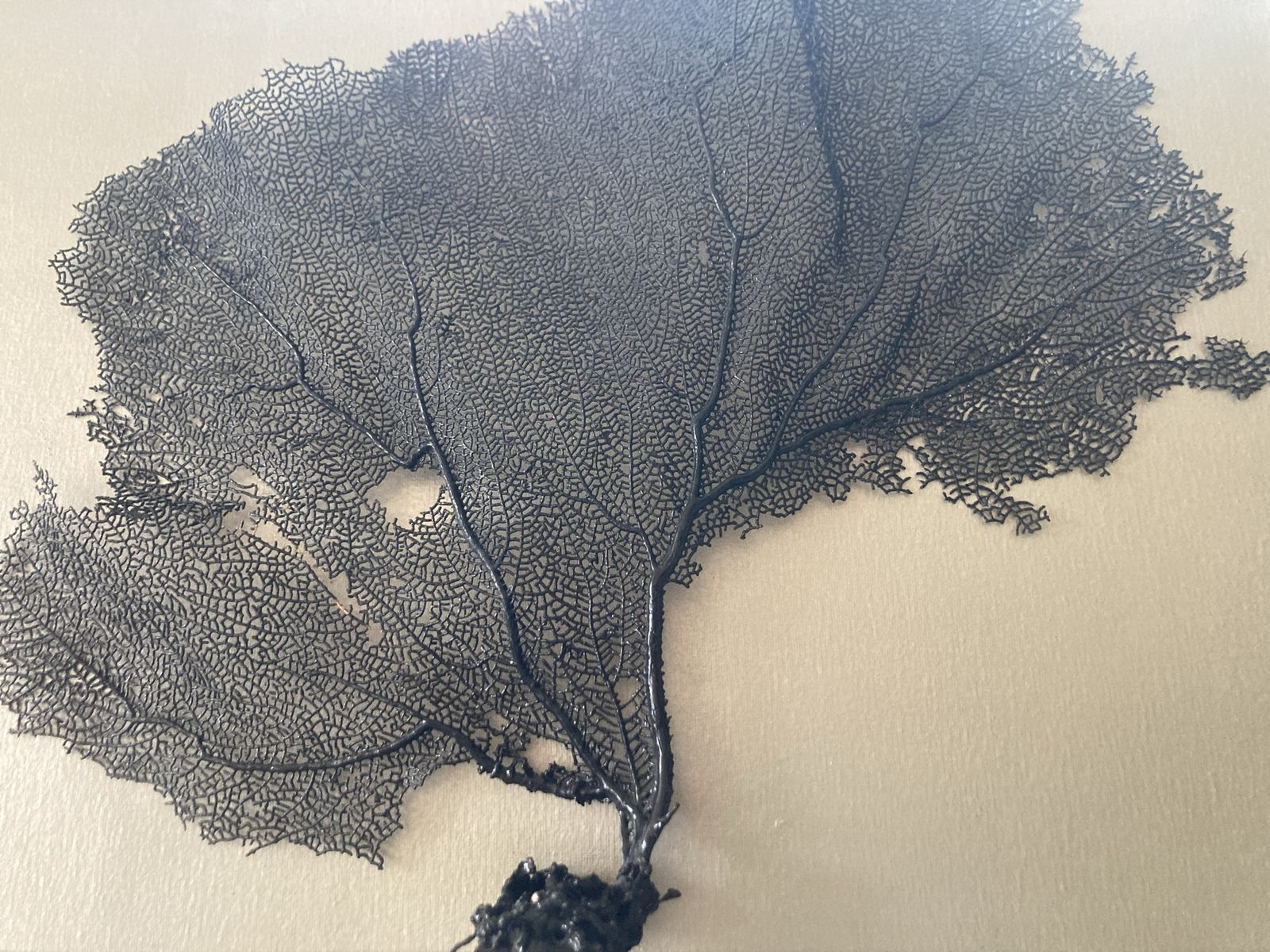 Main image 7