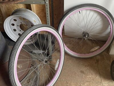 Beach cruiser rims