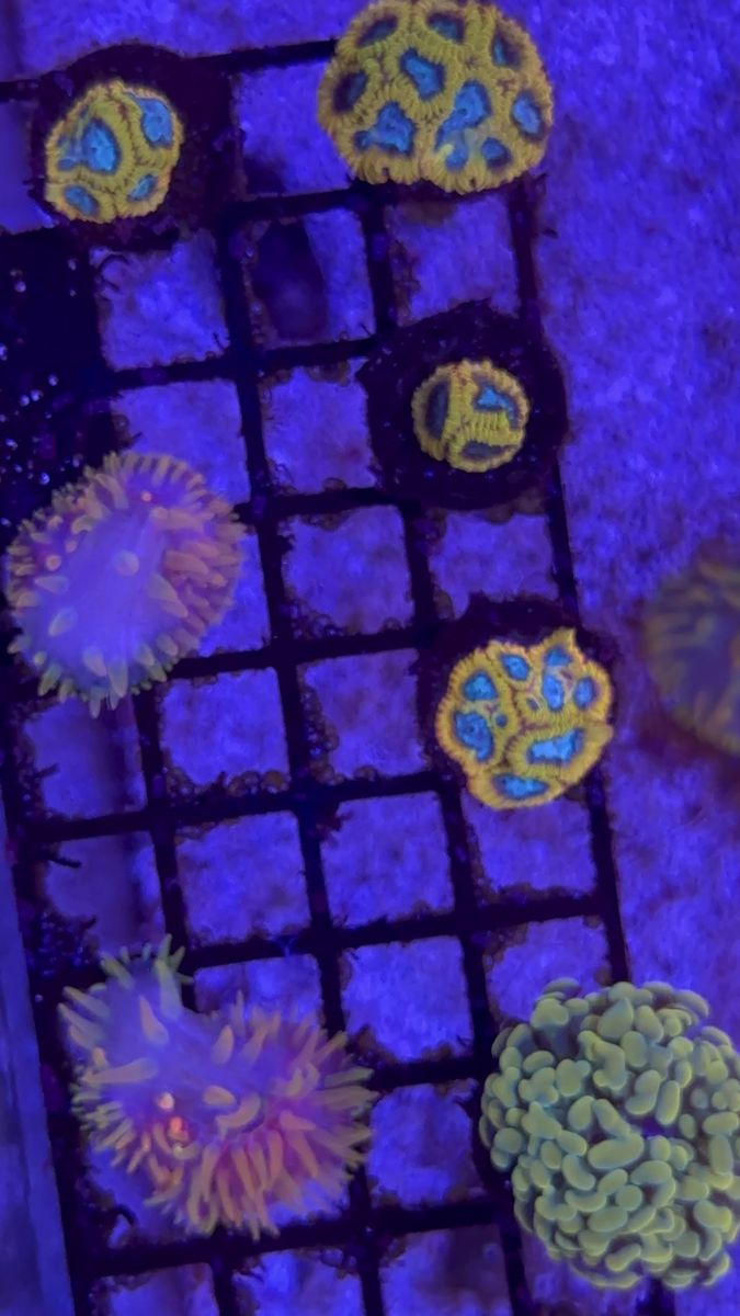 Main image 3