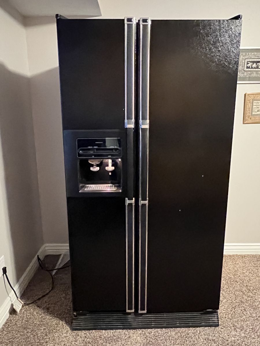 Kenmore Refrigerator came with our home professional cleaned, partially working.