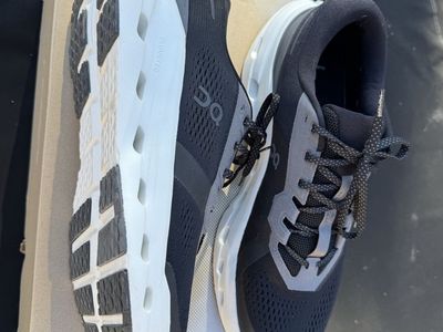 On Cloudrunner Size 14