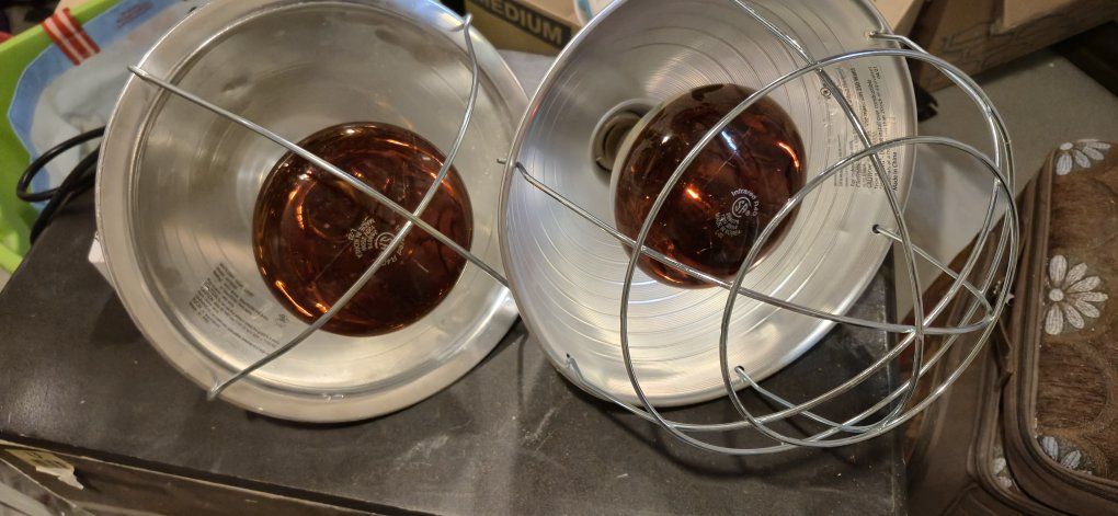 Pair of Aluminum Clamp Heat Lamps with Bulbs and Wire Guards