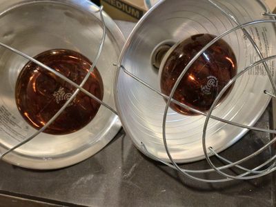 Pair of Aluminum Clamp Heat Lamps with Bulbs and Wire Guards
