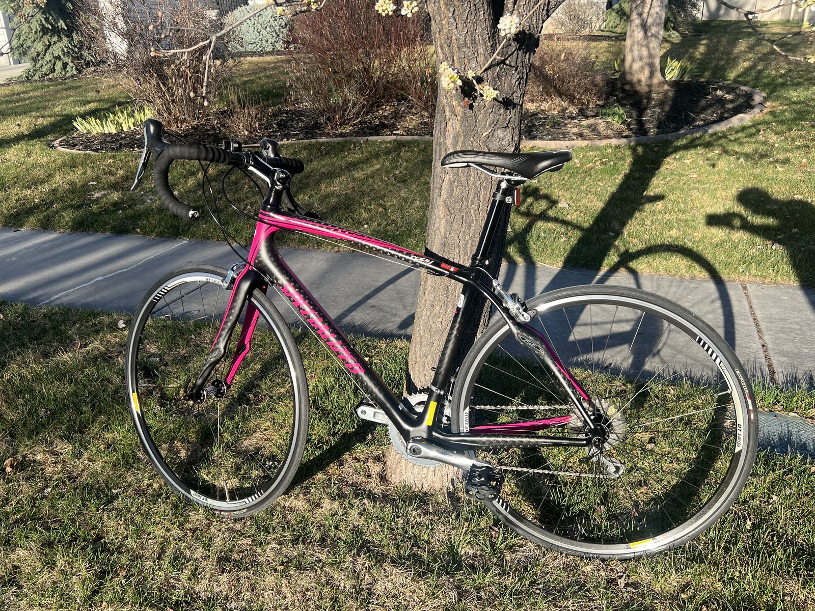 Specialized Ruby Carbon Fiber