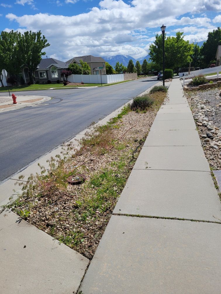 Weeds Removal Yard Clean Up Mowing