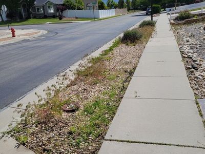 Weeds Removal Yard Clean Up Mowing