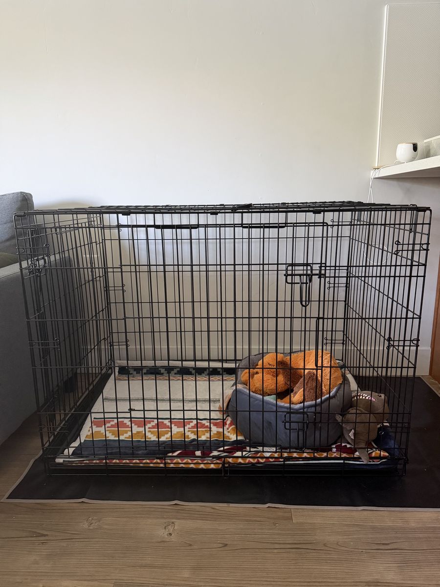 Large, Top Paw Double Door Folding Dog Crate