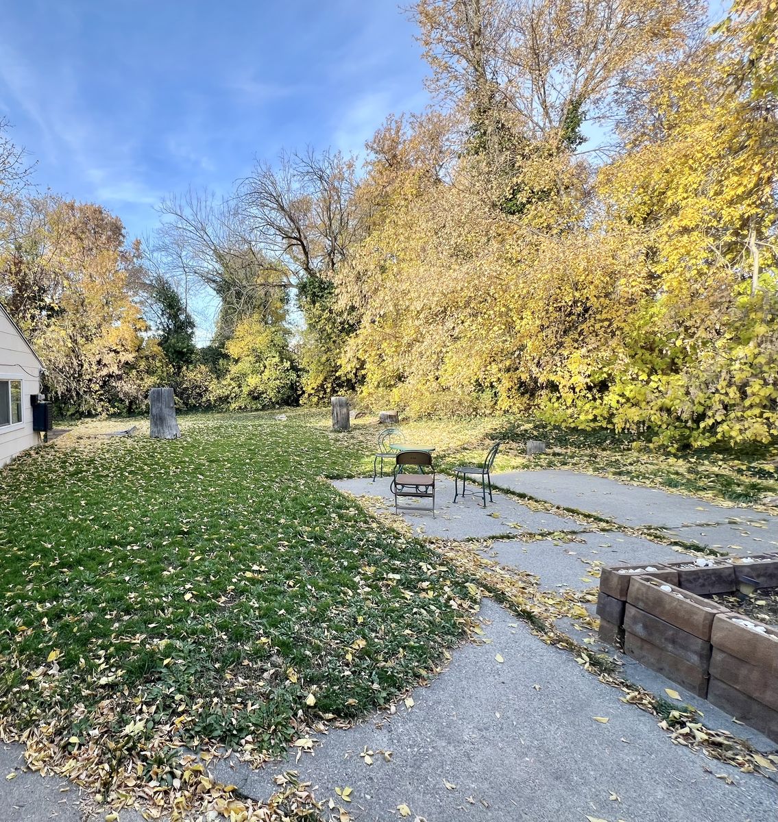 Main image 12